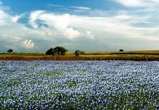 Mainstay Houston Nasa-clear Hotel 3*